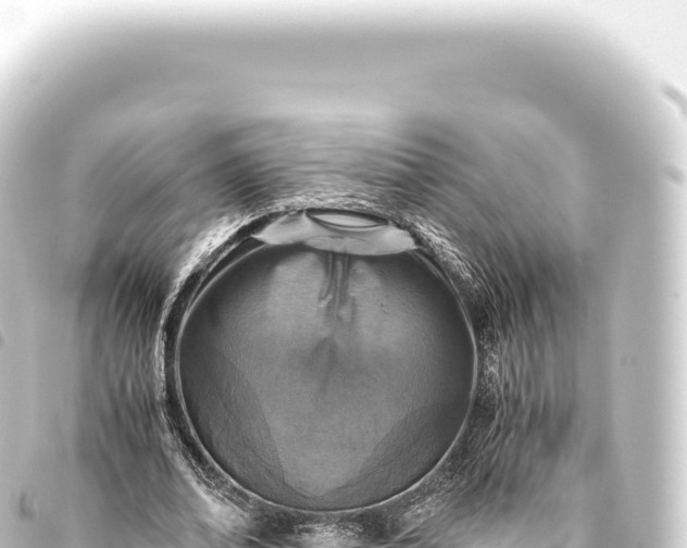 X0000093770678200710301206