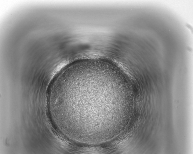 X0000093770679200710301206