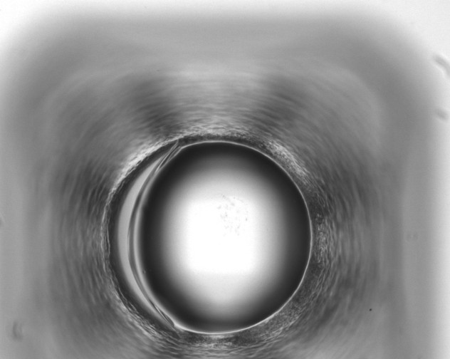 X0000093770680200710301206