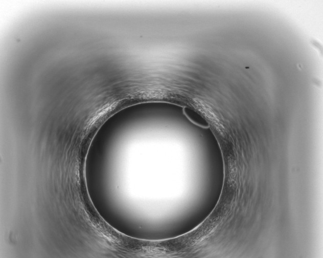 X0000093770681200710301206