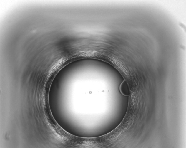 X0000093770682200710301206