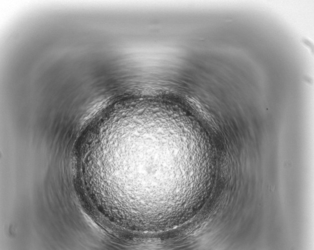 X0000093770683200710301206