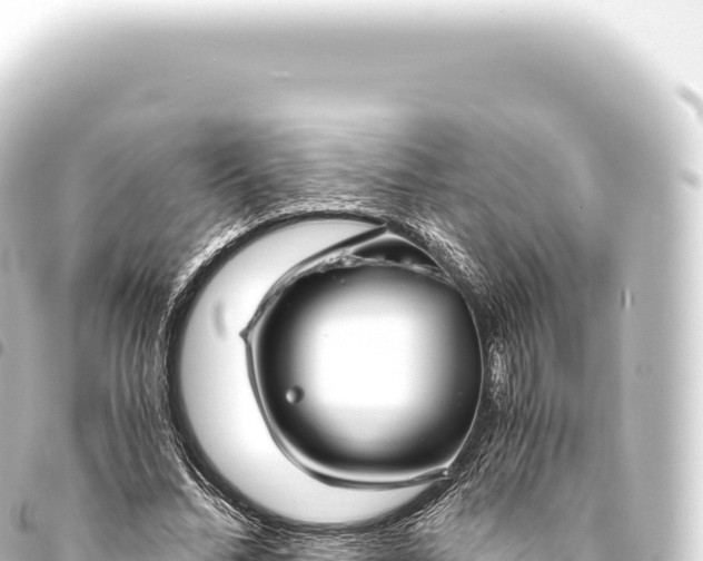 X0000093770684200710301206