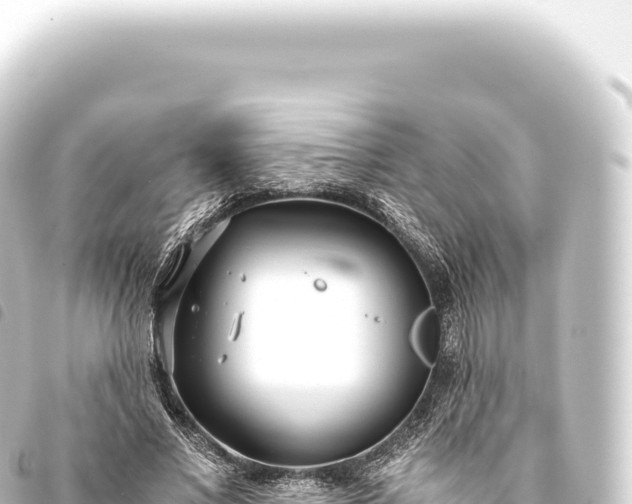 X0000093770685200710301206