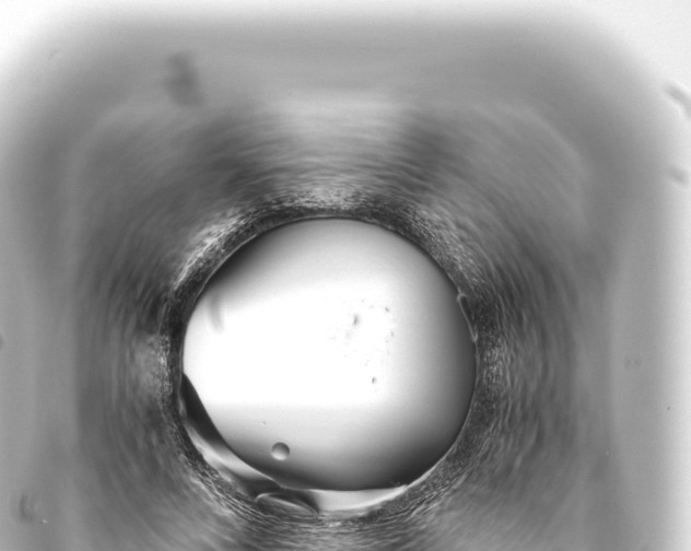 X0000093770688200710301206