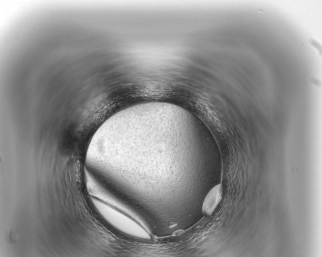 X0000093770689200710301206