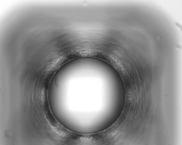 X0000093770690200710301206