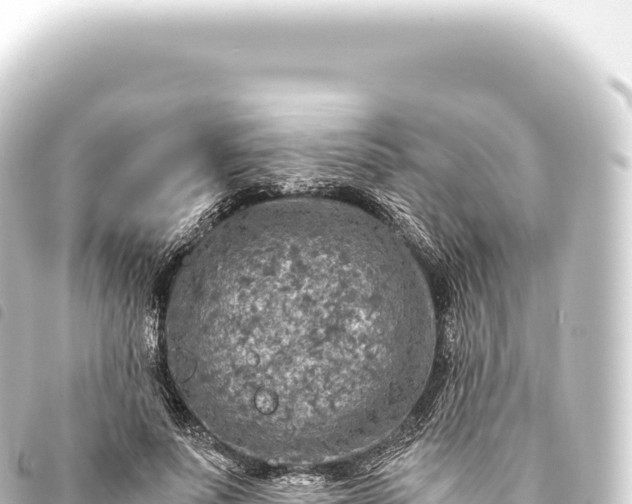 X0000093770691200710301206