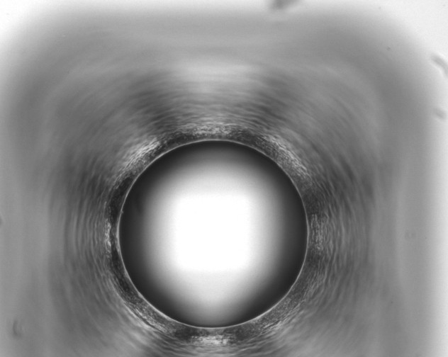 X0000093770692200710301206