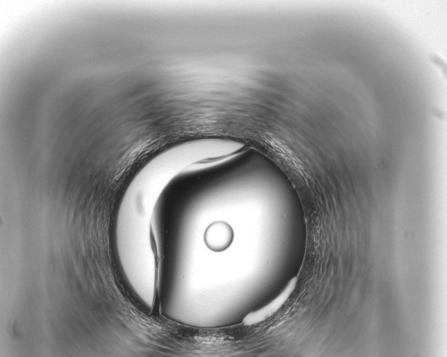 X0000093770693200710301205