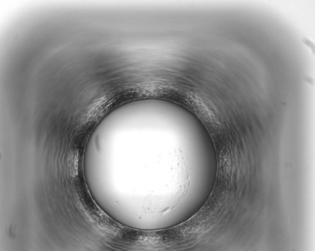 X0000093770694200710301205