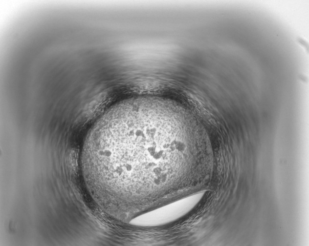 X0000093770695200710301205