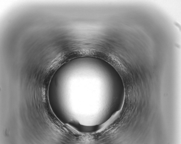 X0000093770696200710301205