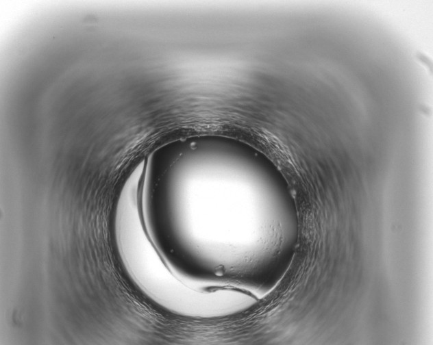 X0000093770697200710301205