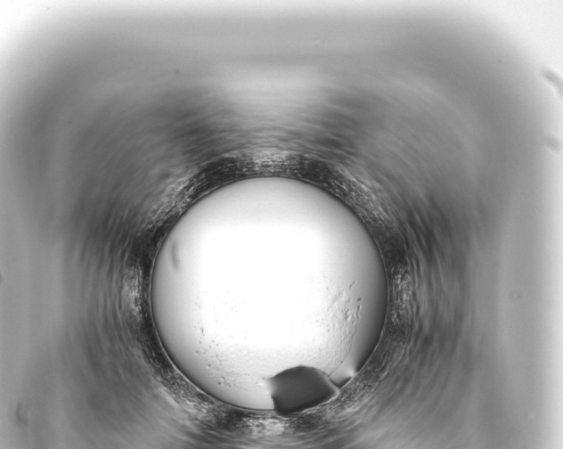 X0000093770698200710301205