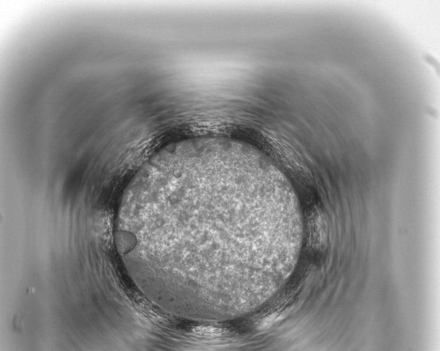 X0000093770699200710301205