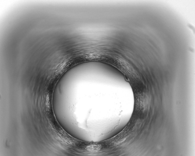 X0000093770700200710301205