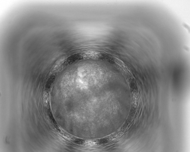 X0000093770701200710301205