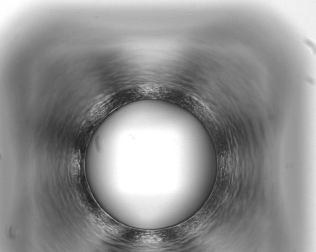 X0000093770702200710301205