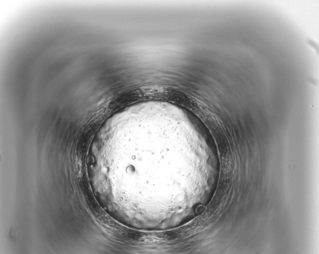 X0000093770703200710301205