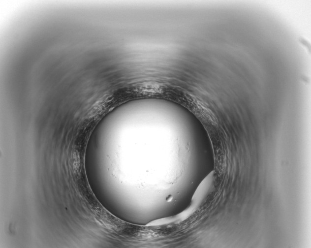 X0000093770704200710301205