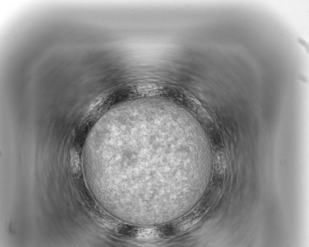 X0000093770705200710301205