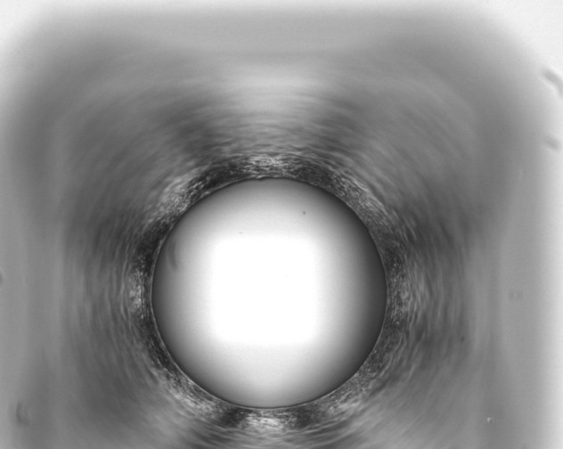 X0000093770706200710301205