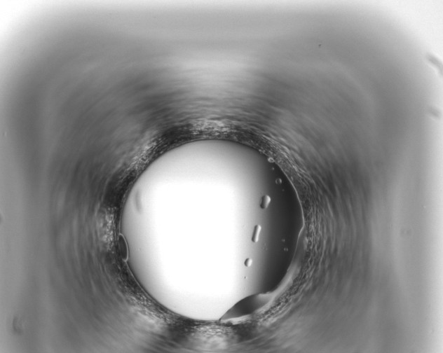 X0000093770708200710301205