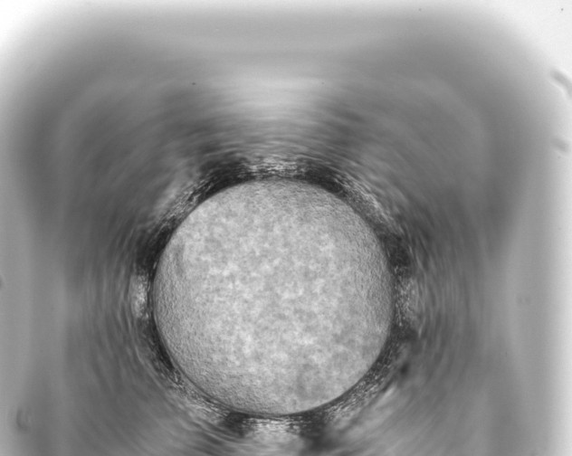 X0000093770709200710301205