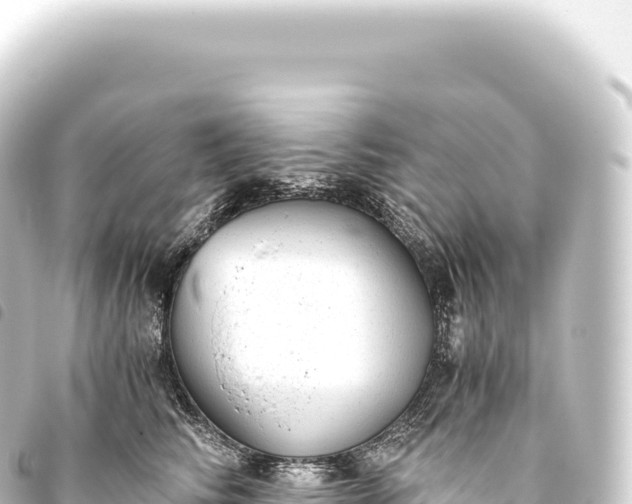 X0000093770710200710301205