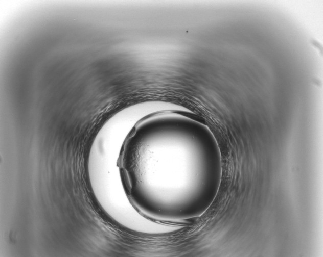 X0000093770711200710301205