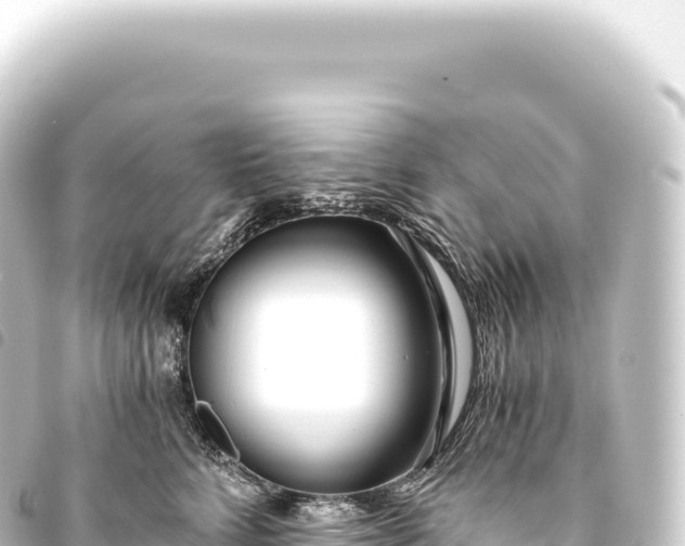 X0000093770712200710301205