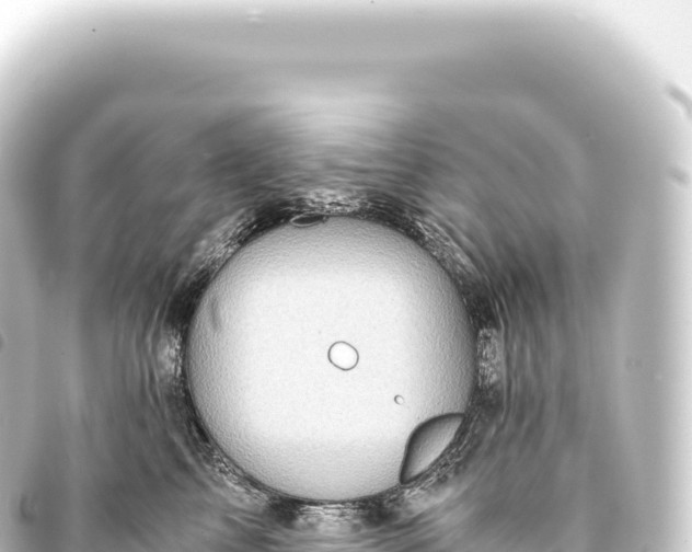 X0000093770713200710301205