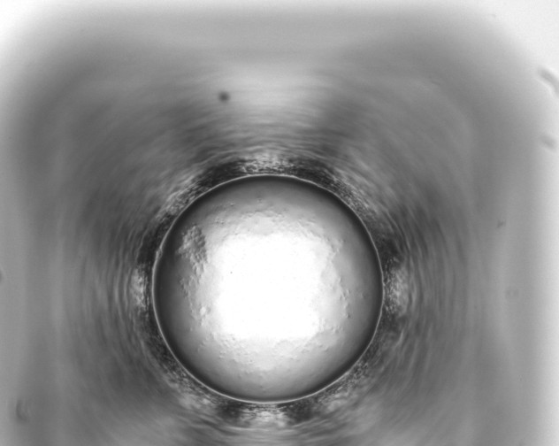 X0000093770715200710301205