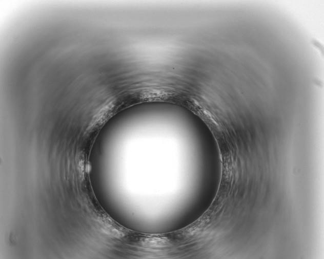 X0000093770716200710301205