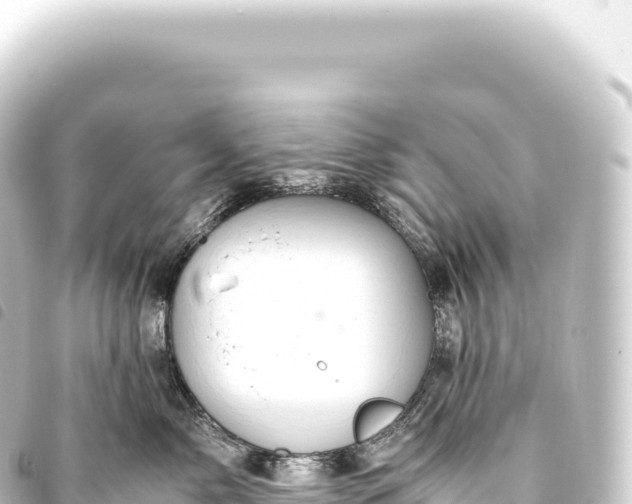 X0000093770717200710301205