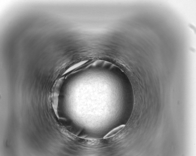 X0000093770720200710301205