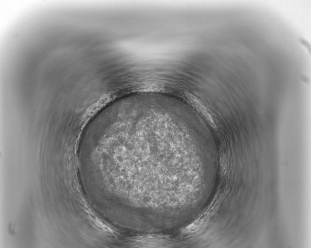 X0000093770721200710301204