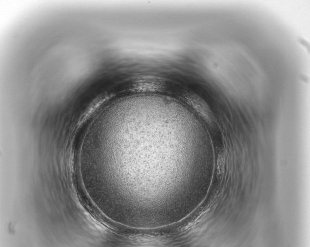 X0000093770722200710301204