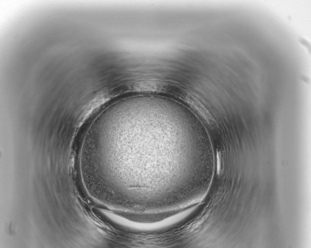 X0000093770723200710301204