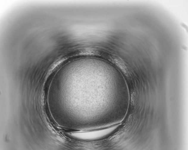 X0000093770724200710301204