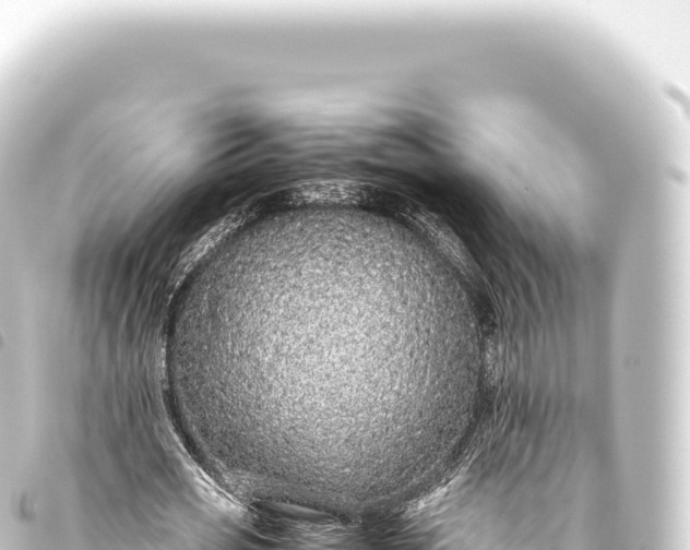 X0000093770725200710301204