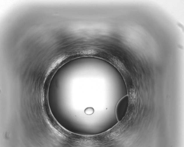 X0000093770726200710301204