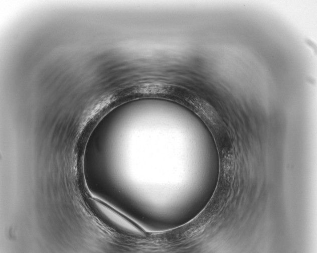 X0000093770727200710301205