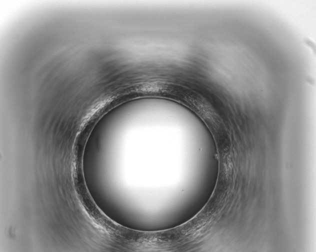 X0000093770728200710301205