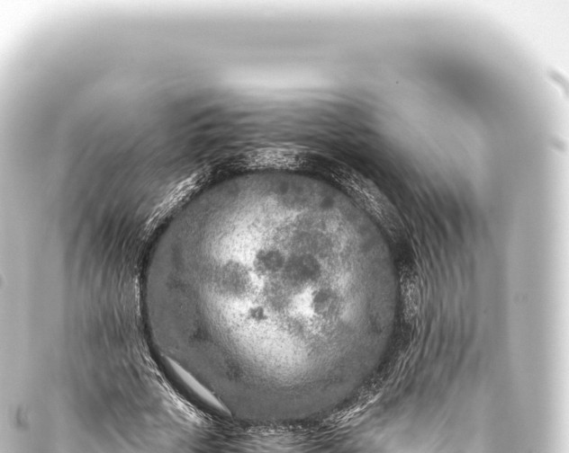 X0000093770729200710301205