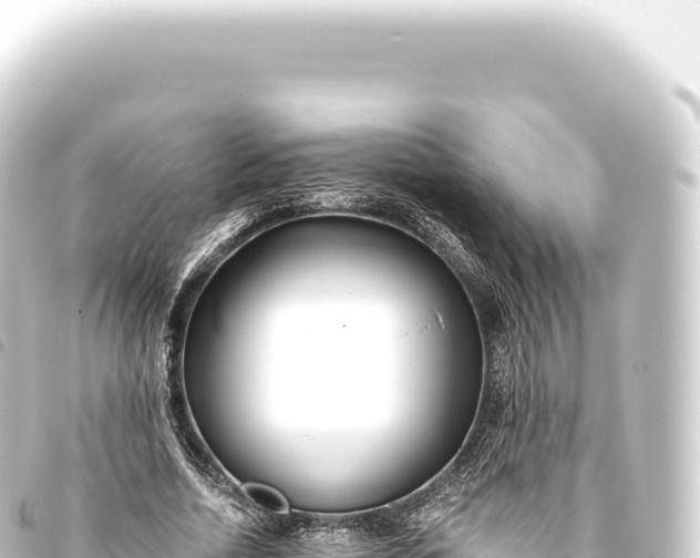 X0000093770730200710301205