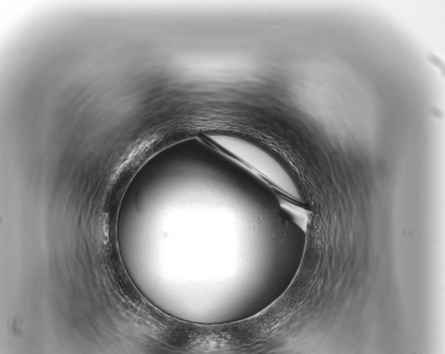 X0000093770731200710301205