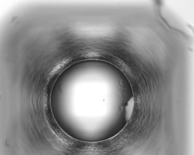 X0000093770732200710301205