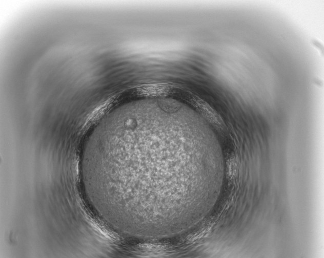 X0000093770733200710301205